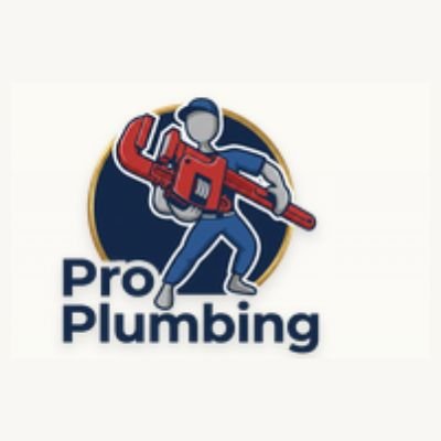 Pro Plumbing
